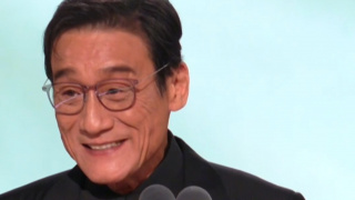 天天插夜夜爽